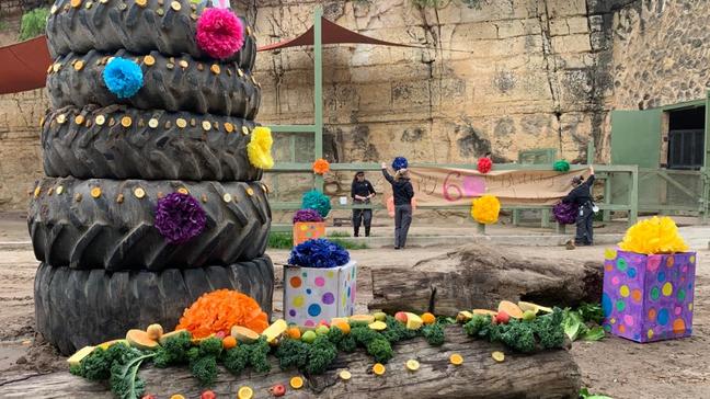 (Photo: San Antonio Zoo)